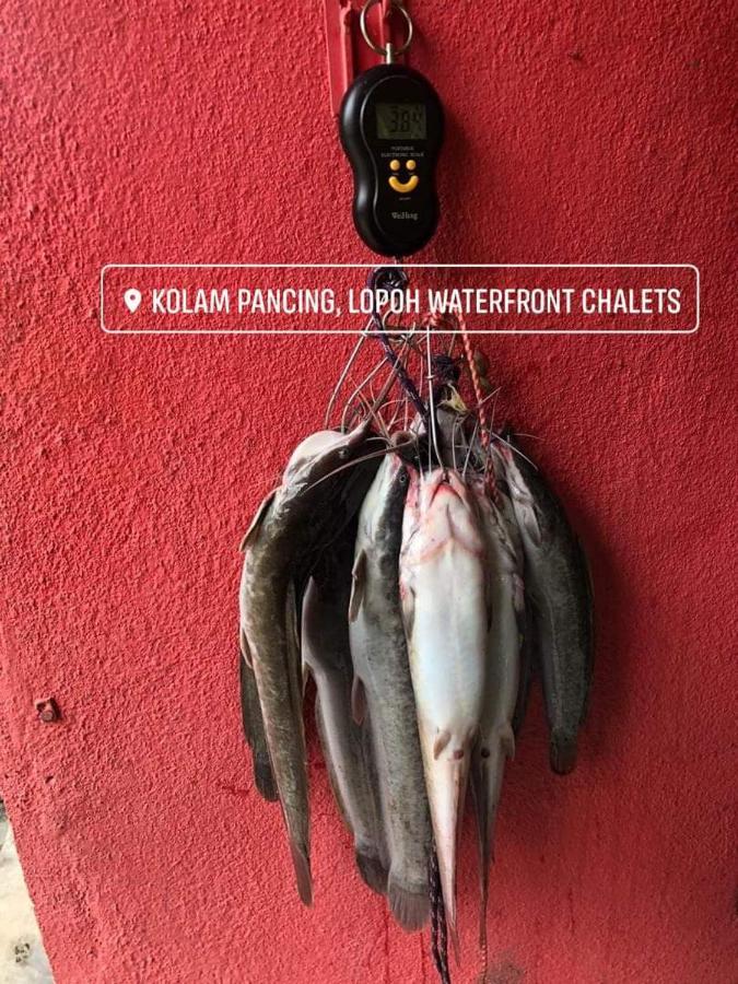 Villa Lopoh Waterfront Budget Chalets Hulu Langat Exterior foto